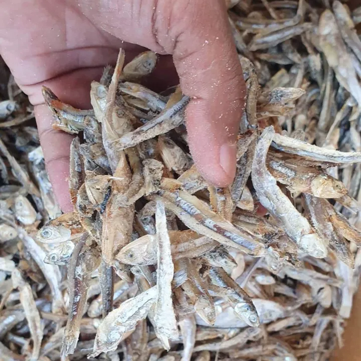 Lanka%20Dried%20Sprats%20%20(%20%E0%B6%BD%E0%B6%82%E0%B6%9A%E0%B7%8F%20%E0%B7%84%E0%B7%8F%E0%B6%BD%E0%B7%8A%E0%B6%B8%E0%B7%90%E0%B7%83%E0%B7%8A%E0%B7%83%E0%B6%B1%E0%B7%8A%20)250%20g%20-%20Image%208