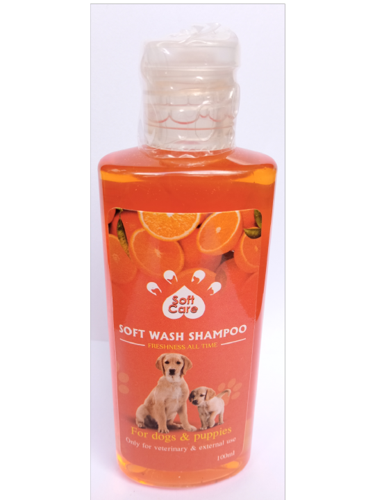 Soft Care Orange Fragrance Shampoo 100 ml Odor Control
