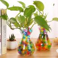 Magic Balls 600pc Pearl Crystal Soil Mud Plant Grow Balls Flower Plant Balls Orbiz Grow Jelly Water Balls Magic Hydrogel Bio Gel Beads Wedding Decoration Home Decoration Crystal Soil Water Beads in Daraz Flyer. 
