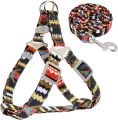 Cat & Dog Belt Adjustable Soft Nylon Paw Printed Strip Harness & Leash Set for All Breeds Dogs, Cat and Puppies. 