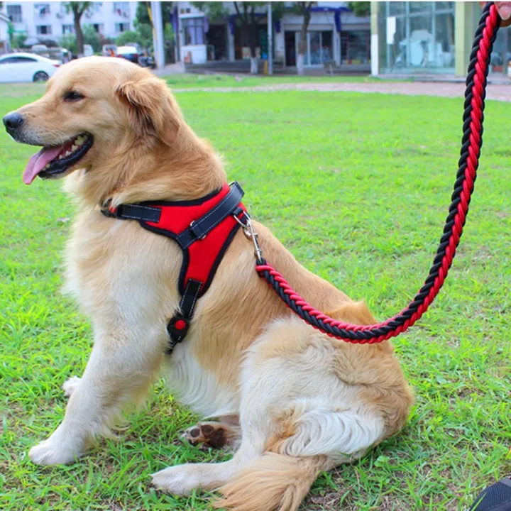 Dog%20Pet%20Harness%20Collar%20Adjustable%20and%20Soft%20Chest%20Belt%20with%20Leash%20-%20Image%204