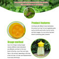【ALLGOOD】Eg1pcs Fruit Fly Catcher Trap Reusable Bottle Bait Lure Insect Flies Pest Control Tool. 