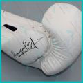 [Genuine] RAJA Microfiber Leather Boxing Gloves Professional Boxing Glove Sarung Tinju Mikrofiber. 