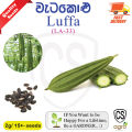 Wetakolu Beeja Luffa Local Seeds Agriculture Home වැටකොලු බීජ 2g. 