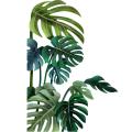 Green Tropical Leaves Wall Decal, Nature Palm Tree Leaf Plants Wall Sticker Art Murals, Waterproof DIY Wall Decor for Home Decor. 