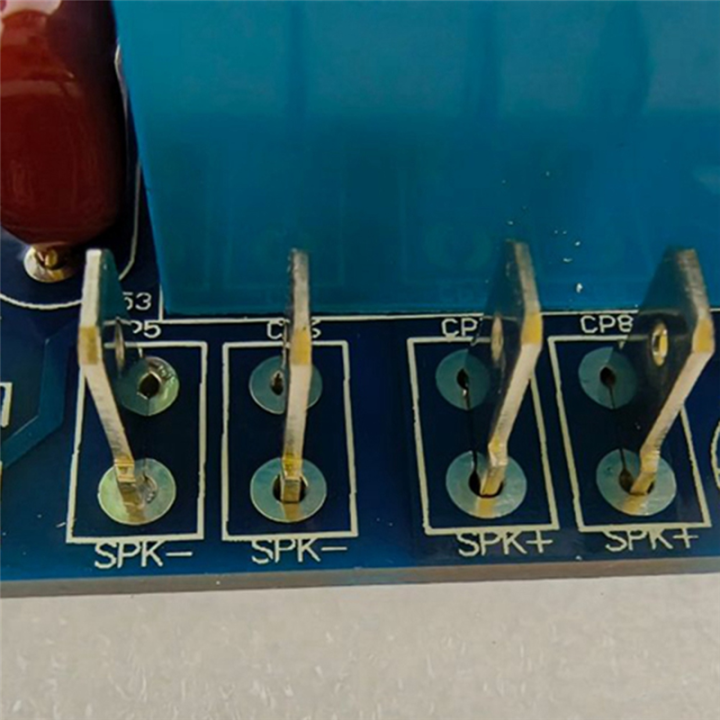 1000W%20Class%20D%20Power%20Amplifier%20Board%20Mono%20Power%20Amp%20Board%20-%20Image%207