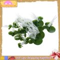 【jellyfishleaf Aquarium Artificial Duckweed Floating Plastic Green White Plant. 