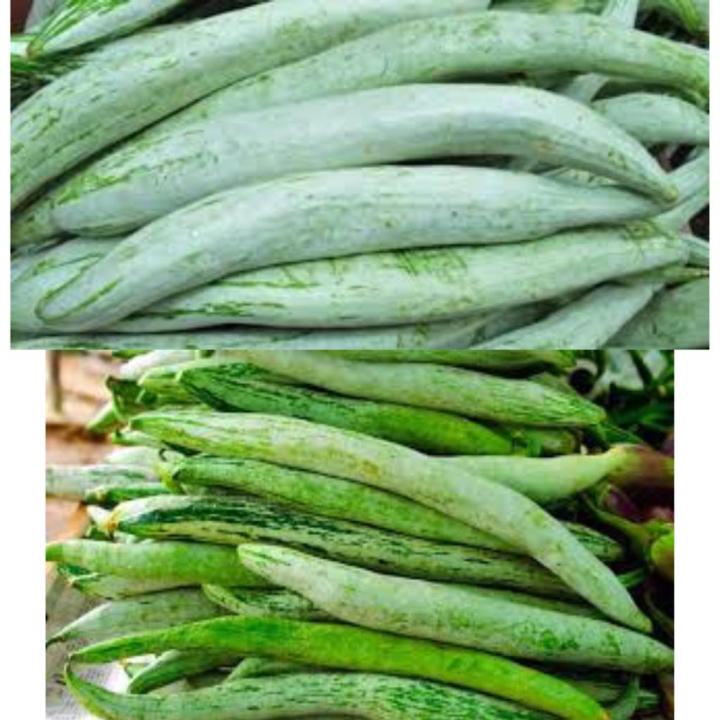 pathola%20bija,Snake%20gourd%20seeds%20-%20Image%204