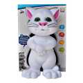 Intelligent talking tom cat with wonderful touching voice. 