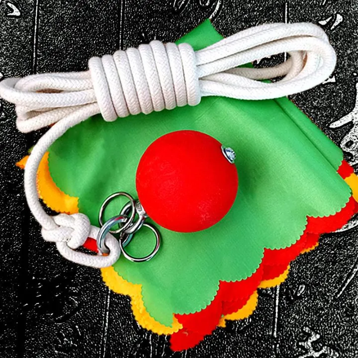 Meteor%20Hammer%20Solid%20Rubber%20Martial%20Arts%20Weapon%20Square%20Dance%20Middle-Aged%20and%20Elderly%20Fitness%20Double%20Ball%20Nine-Section%20Whip%20Practice%20Baijia%20Rope%20Whip%20-%20Image%206