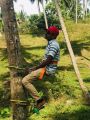Coconut tree climbing tool (Tree rider). 