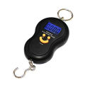 Portable Mini 50Kg/10g LCD Display Luggage Fishing Hook Electronic Weight Digital Scale Pocket Weighing Hanging Scale. 
