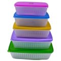 Plastic Food Container 5pcs /Lunch Box/ Storage Box. 