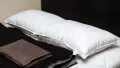 Gel Pillow -Premium 20"x30". 