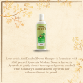 Ayush Anti-Dandruff Neem Shampoo, 175ml. 