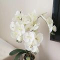 【Hannah Martin Official Store】Artificial White Orchid Flowers High Quality Butterfly Moth Phalaenopsis Fake Flower for Festival Decoration. 