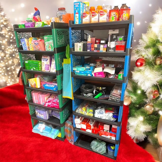 SmartStack Organizer VersaRack Pro Stylish Space Saver Elite Storage ...