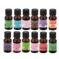 10ml Fragrance Oil Long Lasting Water Soluble Plant Extract Flower Natural Aromas Essential Oil for Diffuser. 