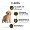 Pro Plan Dog Food Puppy Large Breed Chicken – 3kg. 
