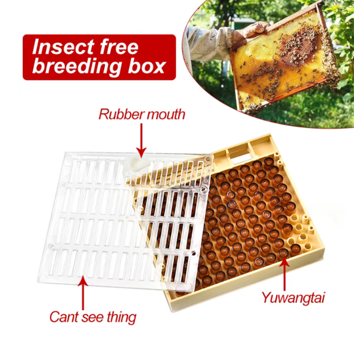 Queen Bee Queen Rearing Cultivating Box Kit 120Pcs Brown Raising Cups ...
