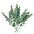 Artificial Eucalyptus Leaves Stems Eucalipto Branches Artificial Fake Plants for Wedding Shooting Prop Home Decoration Garland. 