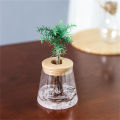 Pots for Pot Imitation Glass Vase Planting Small Potted Green Plant Flower Vases Conbo. 