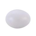 for Chick Duck Geese Poultry Painting Party Supplies Simulation Hen Fake Eggs Easter Egg Artificial Eggs Educational. 