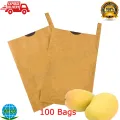 Mango Cover Paper Bags 10/25/100 pcs/ Atlo Agro Products Home Gardening/ Tjc mango cover Bags/Mango Bags/Mango Cover Bags/Aba Baga. 