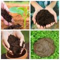 Cow Dung Compost 2kg Organic Fertilizer Agriculture Home Gardening. 
