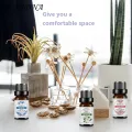 10ml Essential Oil Permeable Calm Emotion Non-Irritating Water Soluble Rose Diffuser Oil for Indoor. 