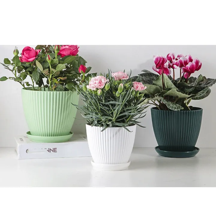 Plastic%20Planter%20Pots%20for%20Plants,%205%20Pack%206%20Inch%20Flower%20Pots%20with%20Drainage%20Holes%20and%20Saucers,%20for%20Indoor%20Outdoor%20D%20-%20Image%203