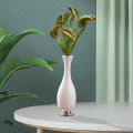 1 Branch Artificial Plant Non-fading Not Withered Decorative Plastic Artificial Flytrap Grass Plant Home Party Desktop Decoration for Balcony. 
