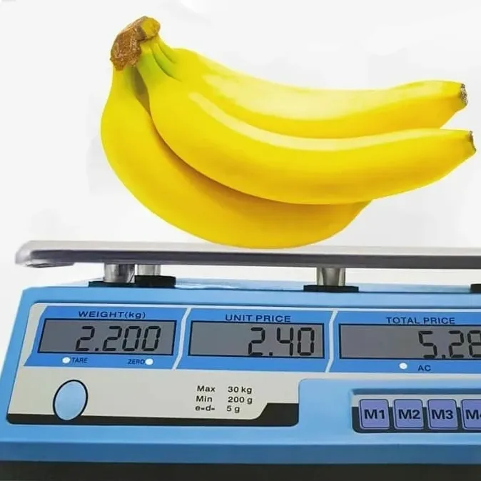 Electronic%20Price%20Computing%20Scale%2040kg%20Capacity%20with%20Green%20LED%20Display,%20Rechargeable%20-%2040Kg%20-%20Image%205