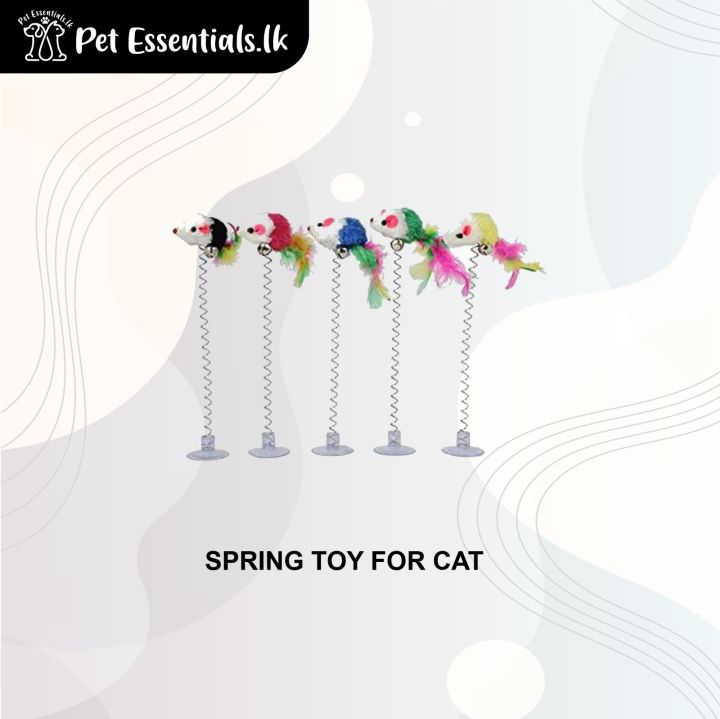 Spring Toy For Cat