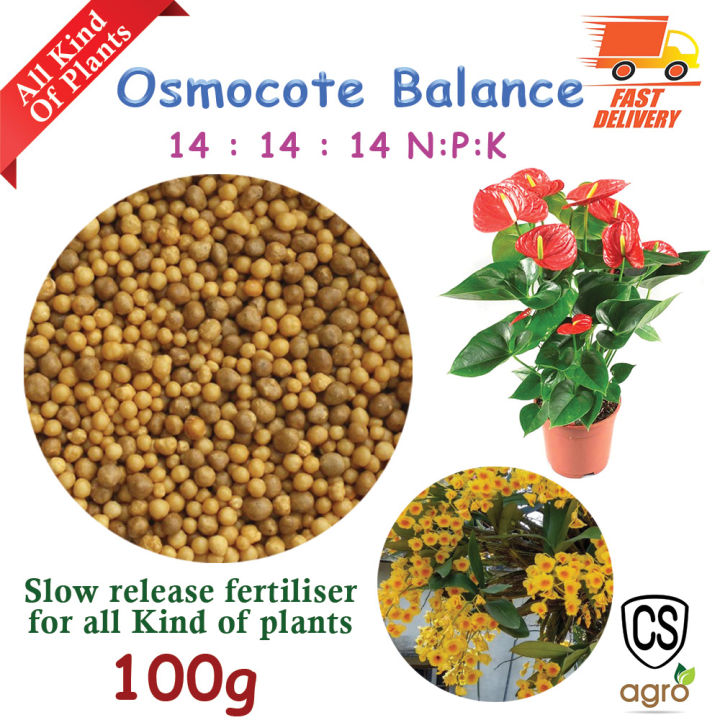 Osmocote All Purpose  N:P:K 14:14:14 Fertilizer 100g cs agro