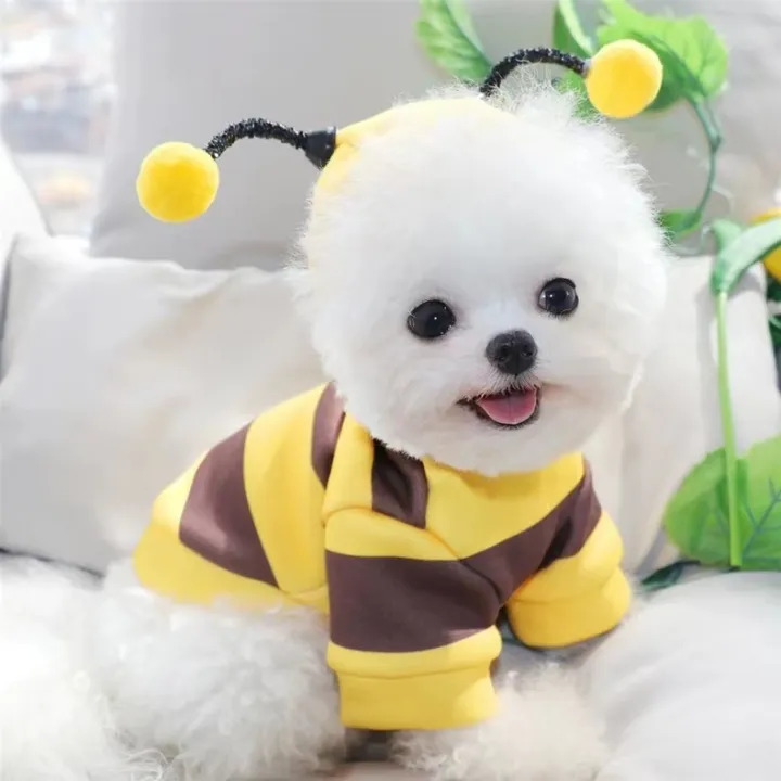 VibeVendor%20MOLAMGO%20Little%20Bee%20Dress%20Up%20Halloween%20Costume%20Dog%20Clothes%20Cat%20Clothes%20Dog%20Bee%20Costumes%20Bumblebee%20Pet%20Hoodies%20for%20Small%20Dog%20Winter%20Cat%20Clothes%20Hooded%20Puppy%20Sweatshirt%20-%20Image%206
