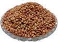 Pure Kollu Seeds (කොල්ලු) Horse Gram 500g. 