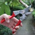 Steel Agriculture Garden Plant Branch Cutting Scissors garden scissors tool pruning shears. 