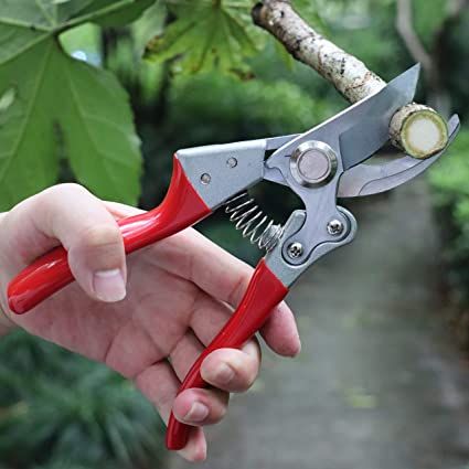 Steel%20Agriculture%20Garden%20Plant%20Branch%20Cutting%20Scissors%20garden%20scissors%20tool%20pruning%20shears%20-%20Image%205