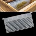 Multifunction 3 in 1 Bee Feeder Feed Power Water Honey Plastic Waterer Feeding Baffle Board PET Beekeeping Tool Supplies. 