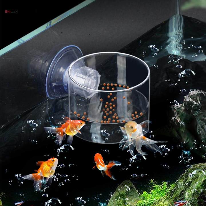 Foot Rings Tank Food Feeding Rings Clear Tank Station for Aquarium Tank 6.8cmx6.5cm ...