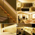 Auoyo 2835 LED Strip Lights Warm White LED Lights String Lighting Flexible Strip Light B lue to oth Non Waterproof Indoor Decoration Strip Lights 2M/5M. 