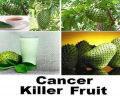 Soursop Fruit Powder (Graviola Fruit Powder)  - 100g. 