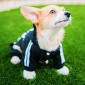 【wholesle668 Store】Pet Clothes French Bulldog Dog Costume Pet Jumpsuit Chihuahua Pug Pets Dogs for Small Medium Dogs Outfit. 