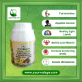 Garcinia Slimming & Natural Weight Loss with 95% HCA Fat Burner Capsules. 