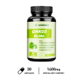 Xemenry PURE GINKGO BILOBA Made with Pure Organic Ginkgo Leaf - Concentrate attention and promote blood circulation - Clears brain fog and boosts logical thinking. 