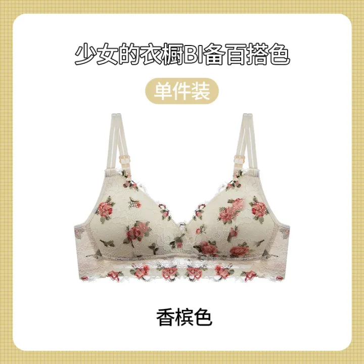 TZ%20Japanese%20Style%20Sweet%20Lace%20Vintage%20Rose%20Flower%20Underwear%20Women's%20Thin%20Push-Up%20No-Rings%20Comfortable%20Breathable%20Bra%20Set%20-%20Image%208