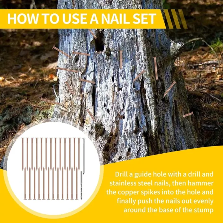 JAERBEE Copper Nails Kit, 3.5 Inch Stump Removal Spikes,Pure Copper ...