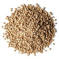 Coriander Seeds Koththamalli Gardening Agriculture Home plant seed. 