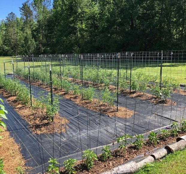 Weed%20Barrier%20Plastic%20Green%20House%20Ground%20Cover%20for%20Home%20Gardening%20Agriculture%203%20Width%20-%201M%20length%20-%20Image%203